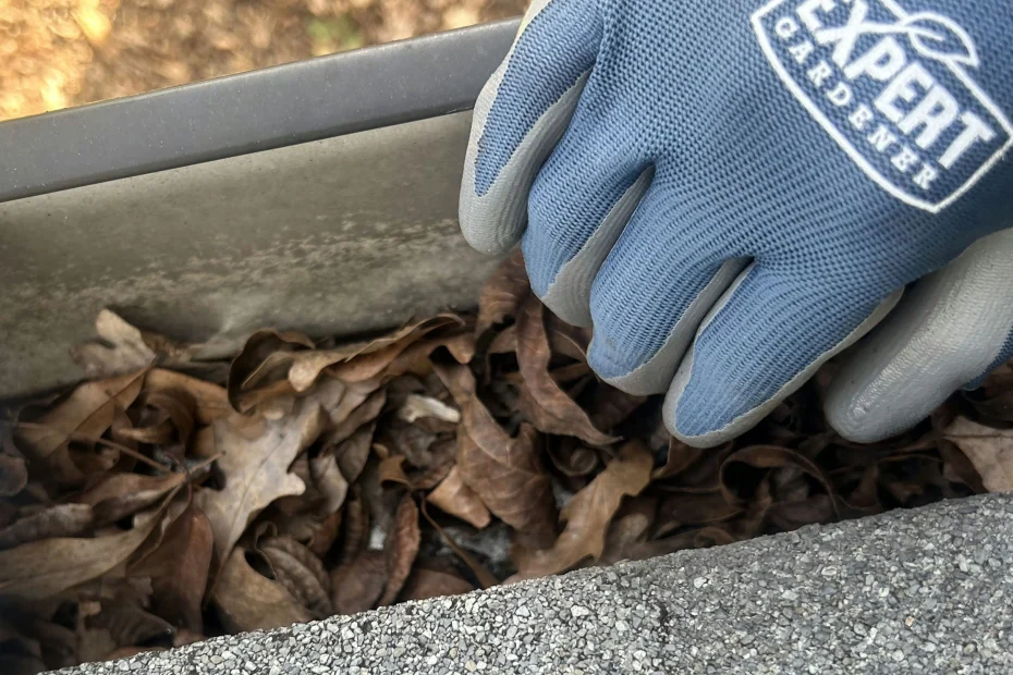 Gutter Cleaning Coral Gables FL