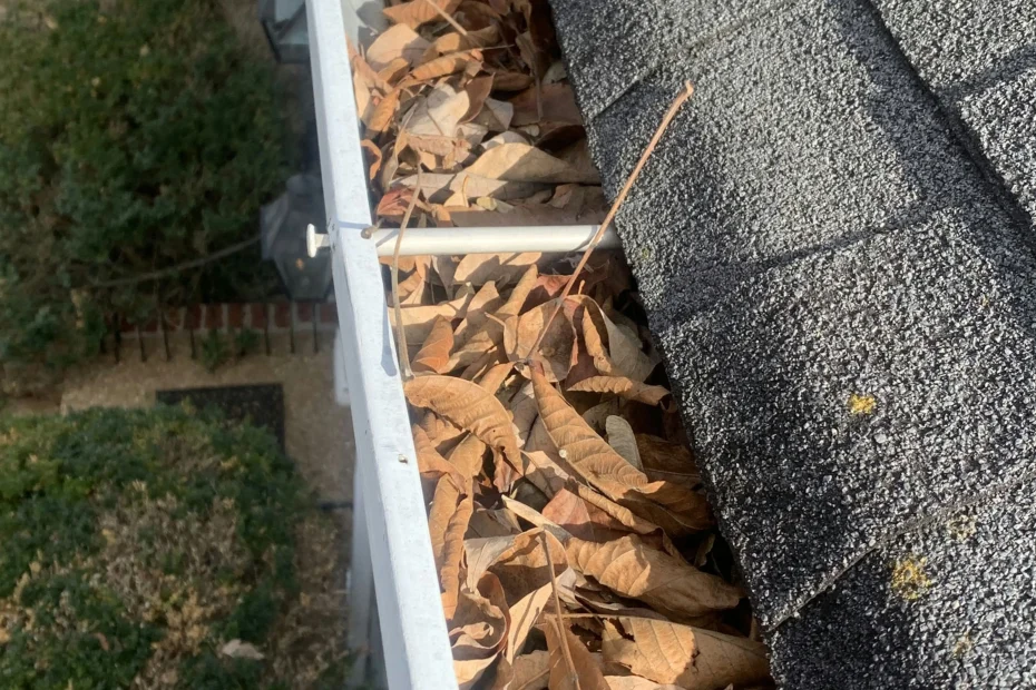 Gutter Cleaning Coral Gables FL