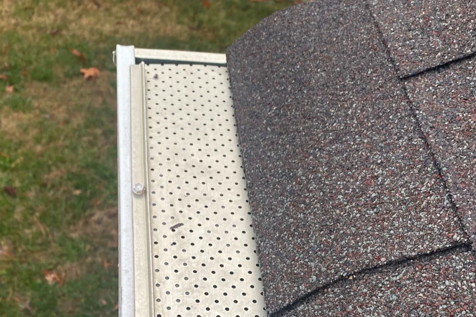 Gutter Cleaning Coral Gables FL